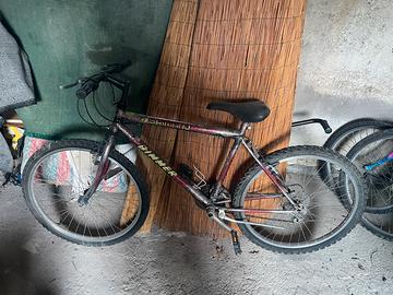 Bicicletta mtb 26” unisex