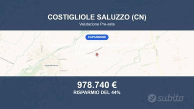 Immobile in asta di 4359 m² a Costigliole Saluzzo