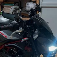 Specchietti Rizoma Z900