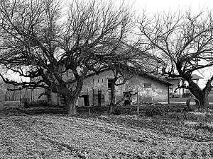 Podere agricolo di biolche reggiane 33 a COVIOLO