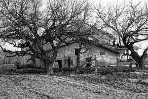 Podere agricolo di biolche reggiane 33 a COVIOLO