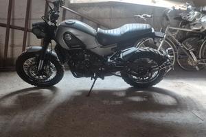 benelli leoncino 500 trial