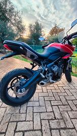 Triumph Tiger Sport 660 - 2025