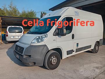 Fiat Ducato cella frigorifica
