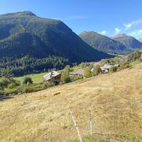 SAINT-OYEN Terreno edificabile