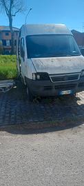 ducato metano 