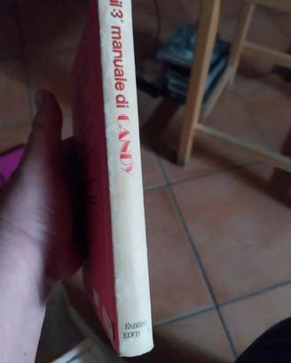 il terzo manuale di Candy Candy