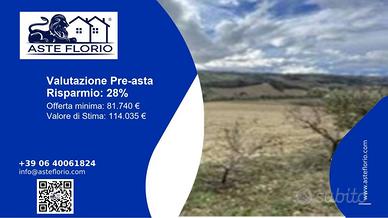 Immobile in asta di 112465 m² a Montottone