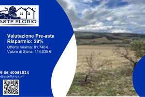 Immobile in asta di 112465 m² a Montottone