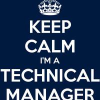 Technical project manager
