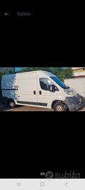 ducato