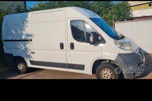 ducato