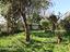 Immagine 28