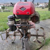Taglia erba
