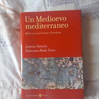 Libro di storia