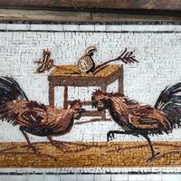 Mosaico Combattimento di galli