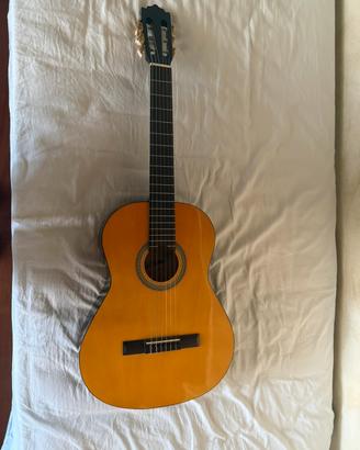 Chitarra acustica esthon sp-300