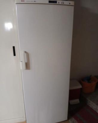congelatore BOSCH Verticale