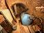 Immagine 13