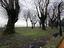 Immagine 22