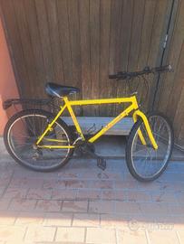 mtb 26 pollici