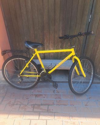 mtb 26 pollici