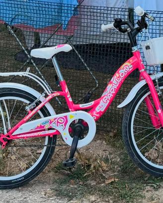 Bici ragazzina 20 pollici