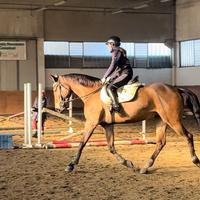 Cavalla Sella Italiana