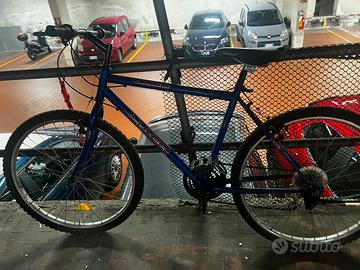 Mountain bike