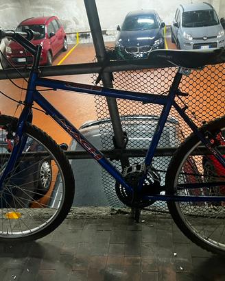 Mountain bike