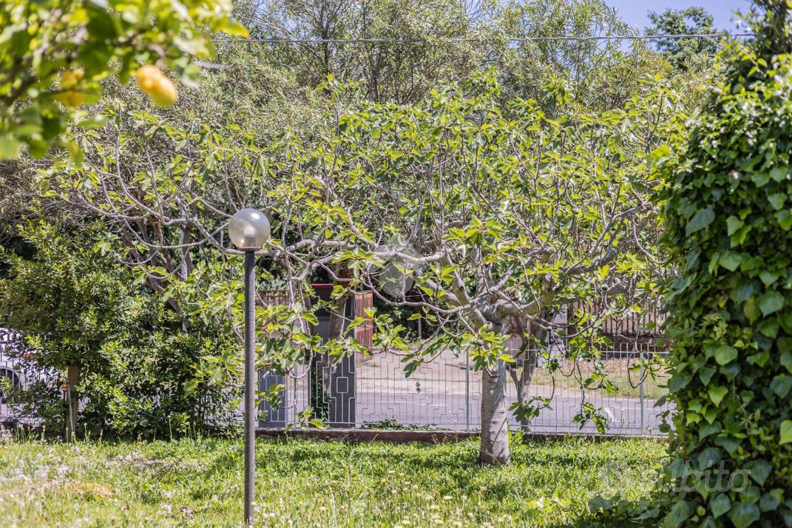 House in Cerveteri, Valcanneto - Vista 4