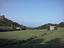 Immagine 11