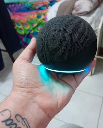 Amazon Echo dot Alexa