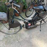 Bici a motore