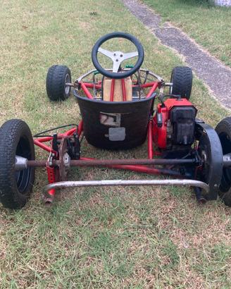 Go-kart karli