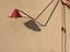 Immagine 5