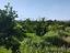 Immagine 28