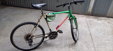 Mountain Bike Rock TT 200 (Gomme Nuove)