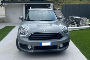 Mini Countryman D