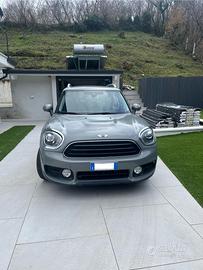 Mini Countryman D