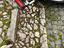 Immagine 4