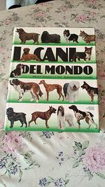I CANI DEL MONDO 