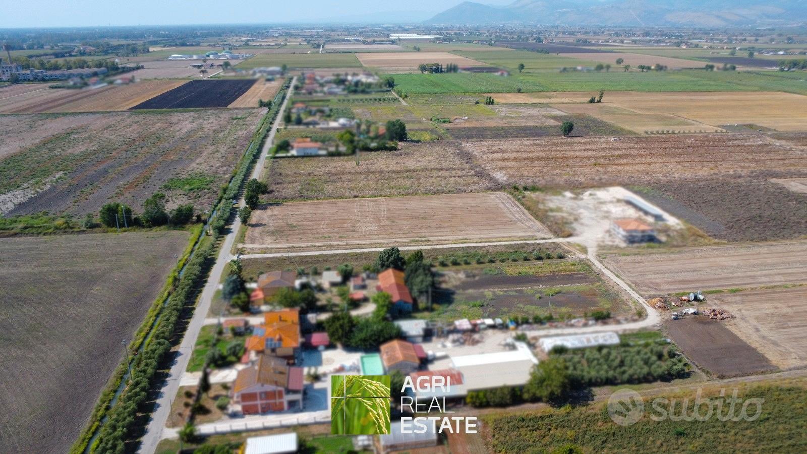 Terreno agricolo pianeggiante 8 HA fronte strada - Vista 5