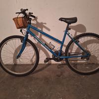 Mountain Bike donna diamond back