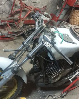 benelli 125 2c cilondri polini