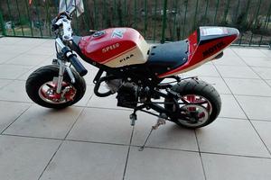mini moto