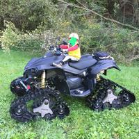 Can-am renegade 800 2 posti