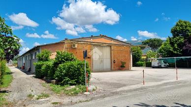 MULTILOCALE A SPELLO