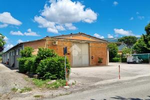 MULTILOCALE A SPELLO