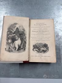Libro volume
